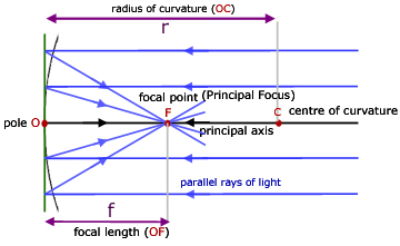 lebelled ray diagram light reflection and refraction