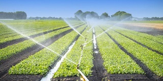 irrigation agricultural practices